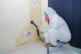 Best Emergency Mold Remediation  in West Hattiesburg, MS